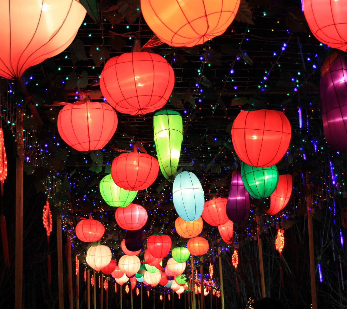元宵月圆人圆原来明天是中国古代的情人节