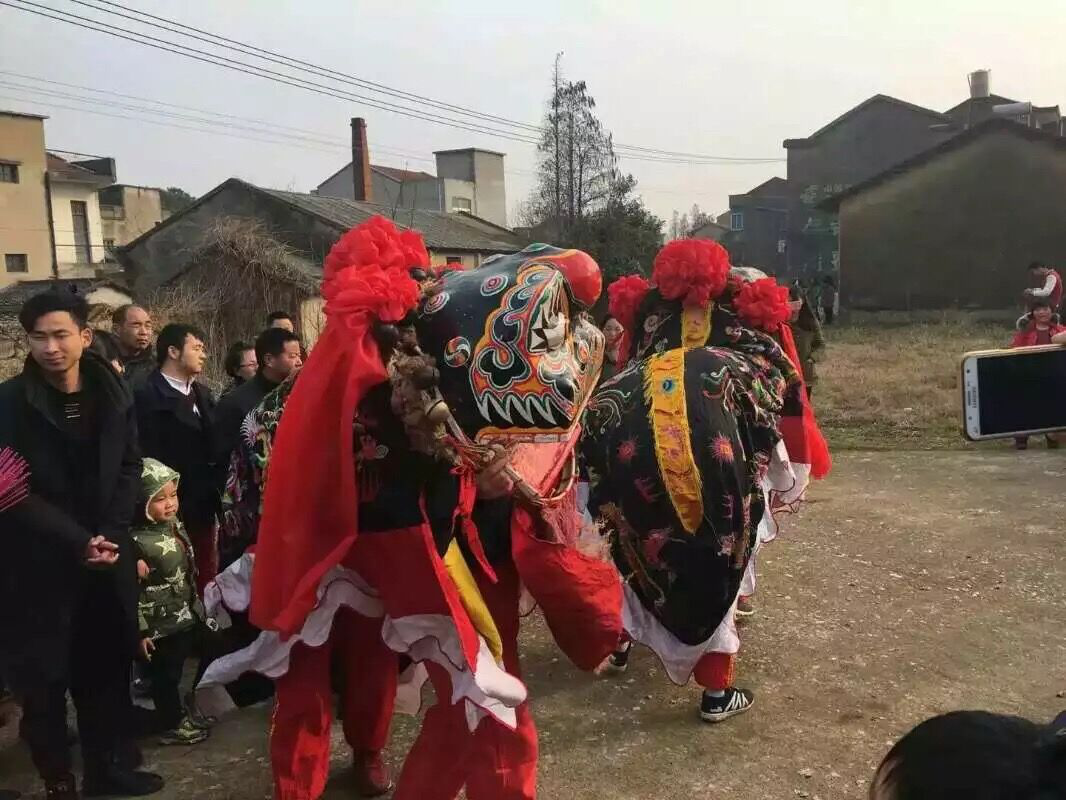 黄陂僵狮子马脚图片