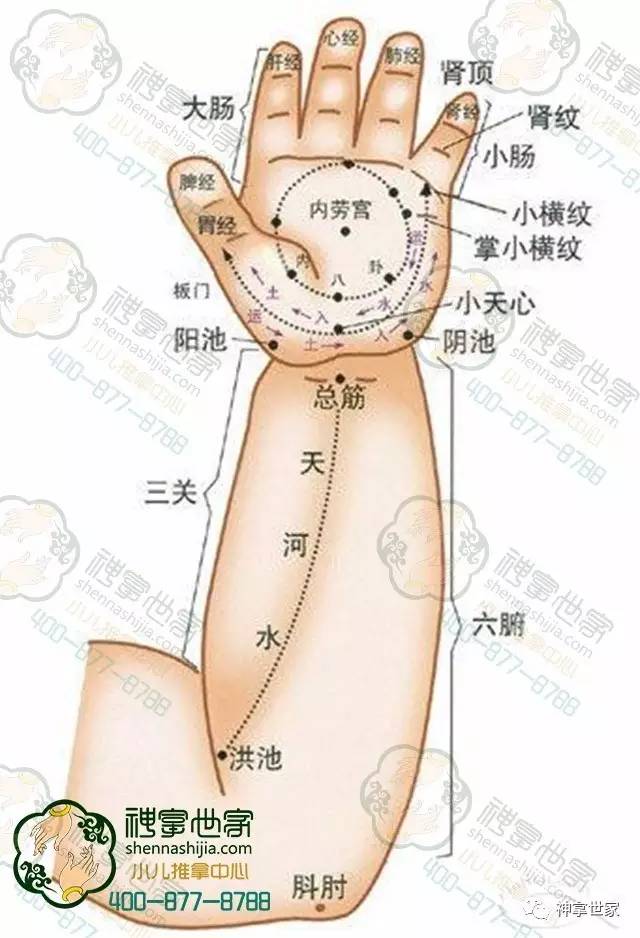 小儿推拿六腑图片