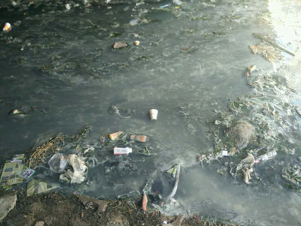 旅顺龙河污染图片