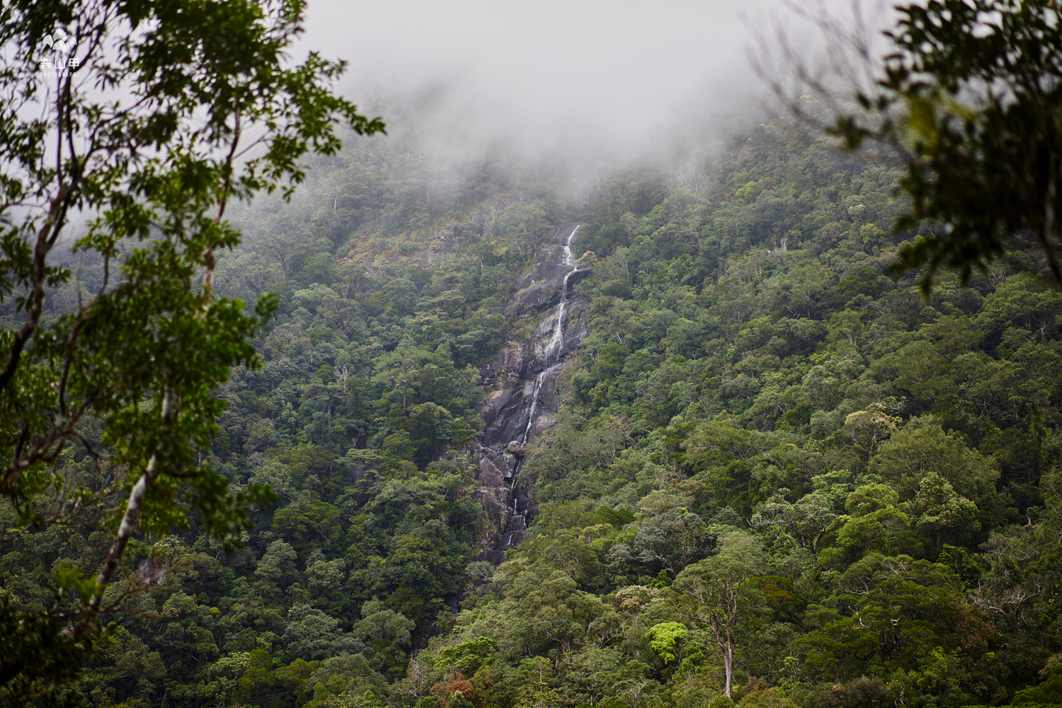 【海南】探秘五指山,穿越海南之巅热带雨林