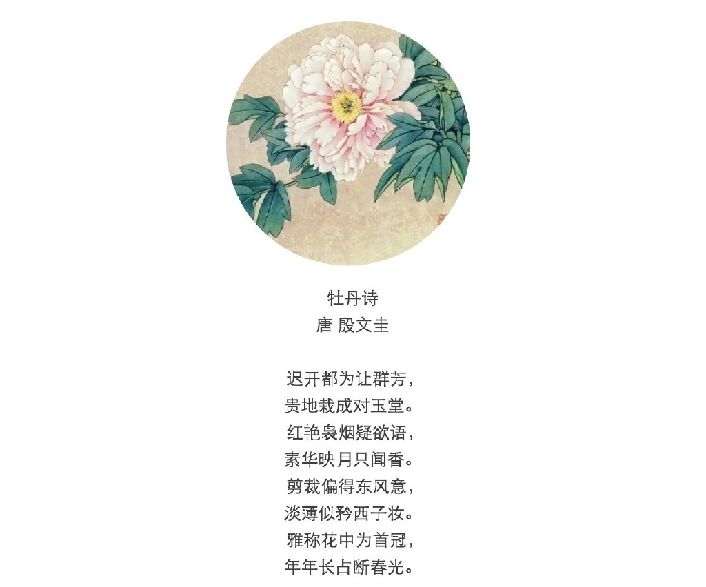 描写牡丹花的诗句图片