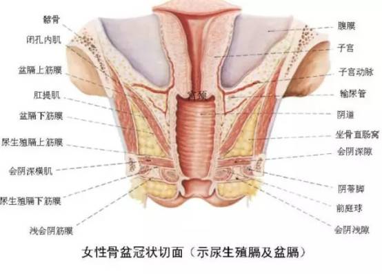 辣眼睛与其看岛国片不如看这篇了解女性