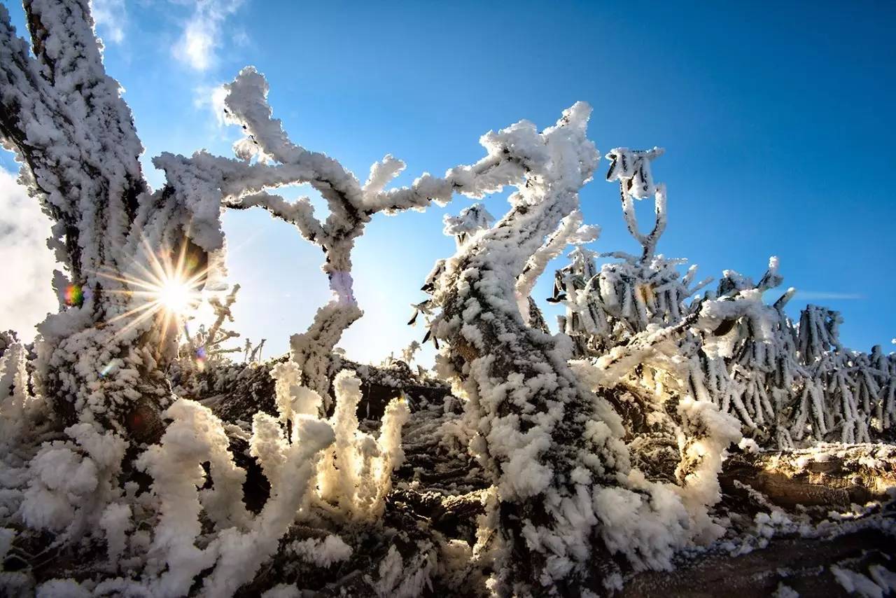 雪地裡觀星空,月亮悄悄無聲,繁星灑滿畫布,讓你恍惚坐上了