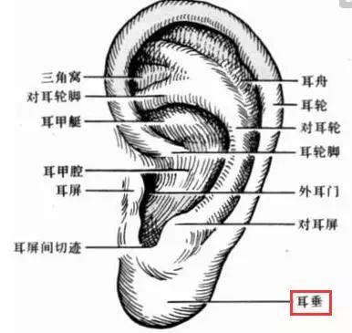 补肾,心绞痛,失眠