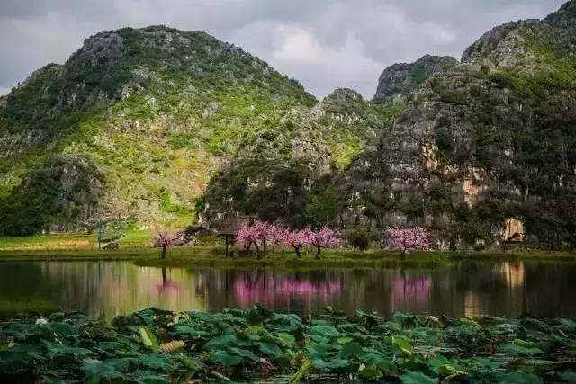 三生三世十里桃花 普者黑不见不散