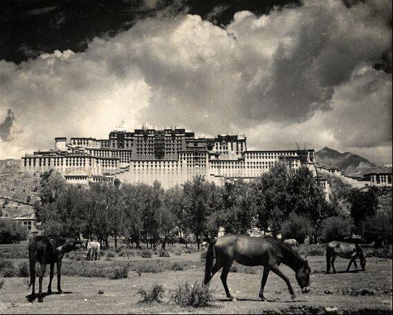 布达拉宫旧照片图片
