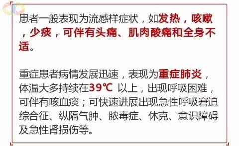 其中有79例證實死亡,2017年1月的禽流感感染疫情數據比2016年12月的