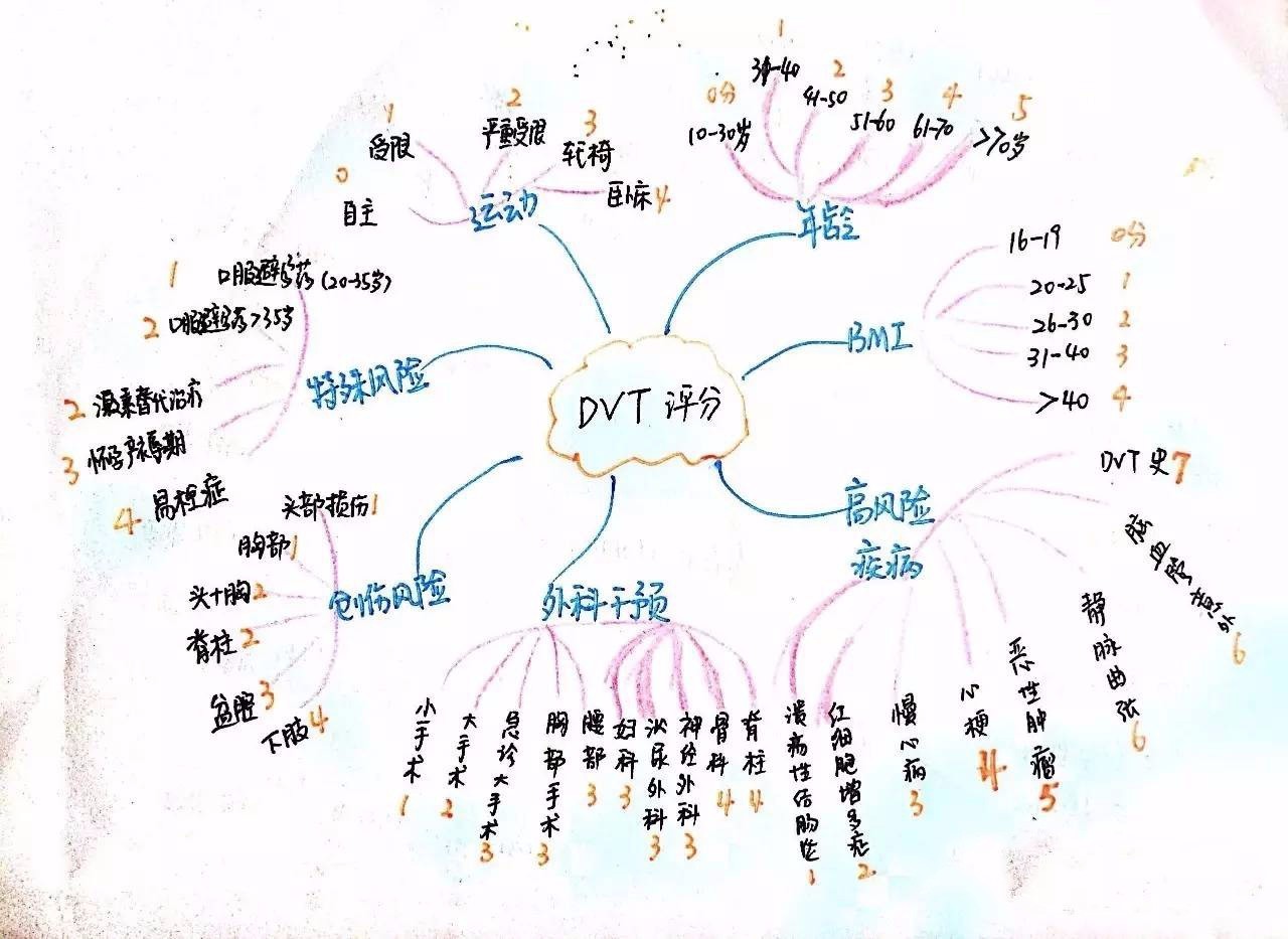 大家分享一点我在学习护理评估表时用大脑的发散思维绘制的护理评估表