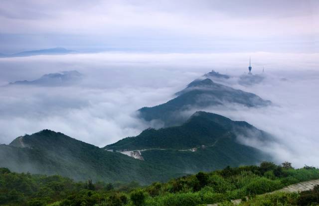 梧桐山10小时大救援!踏遍青山人未老,先存个应急电话簿!