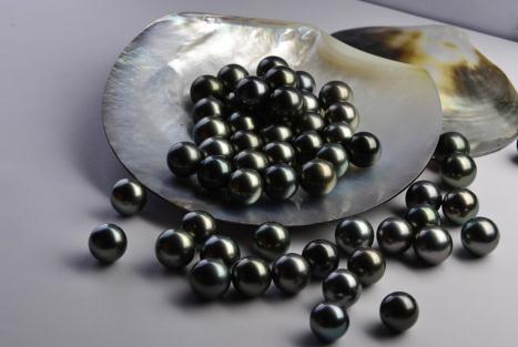 孟加拉特产黑珍珠图片