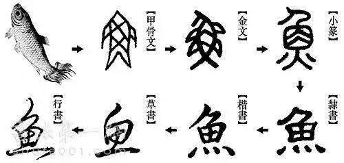 从甲骨文到楷书,每一个阶段都呈现出不同的艺术风格,构成了汉字历史上