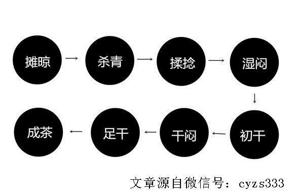 黄茶制作工艺流程图图片