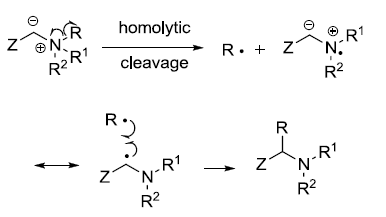 stevens rearrangement