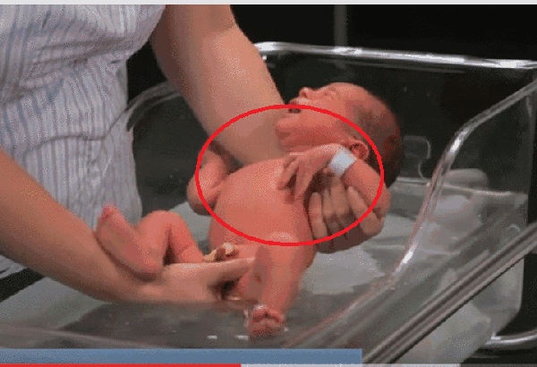 女婴出生 洗澡图片