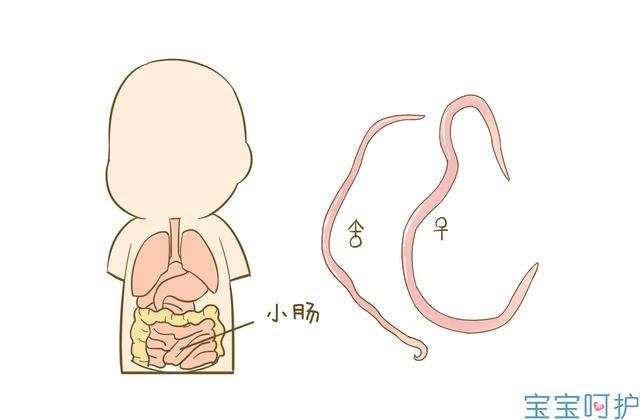 5招教你判断宝宝肚子里有没有虫!