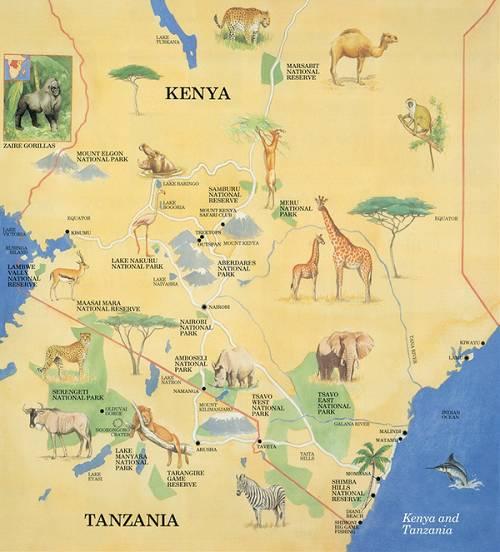 非洲动物迁徙路线图图片