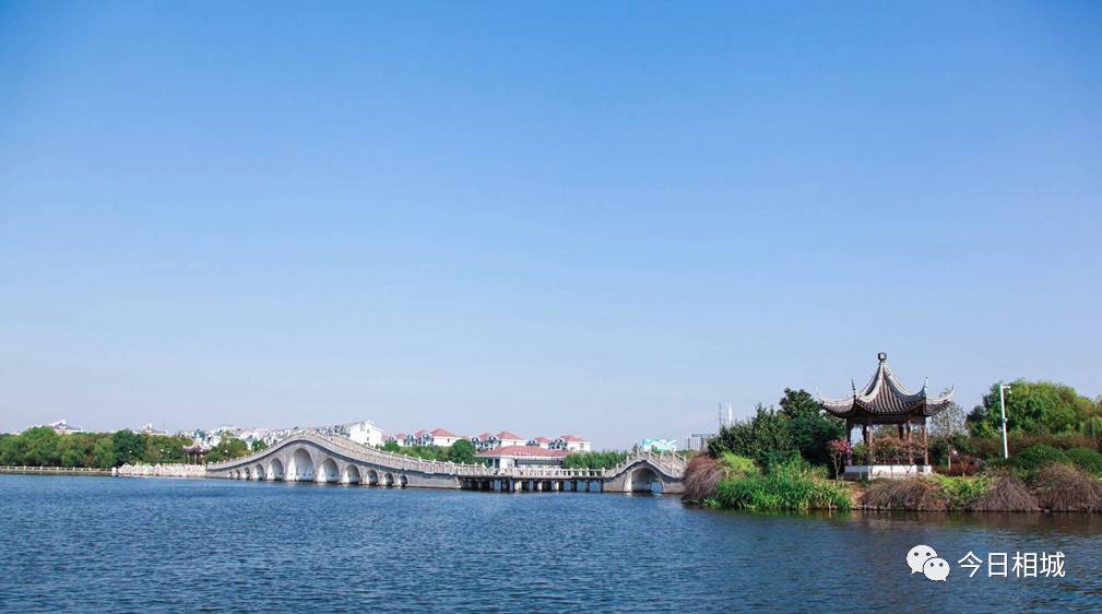 东桥黄埭图片