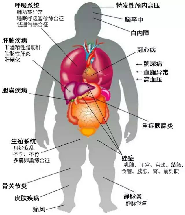 糖尿病是最常见的代谢性疾病,糖尿病及其并发症所致的死亡率已继心脑