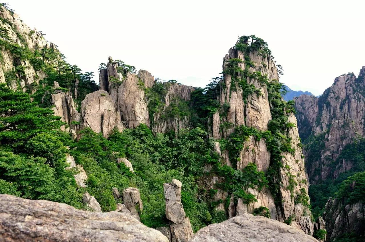 上海到黄山旅游价格(上海到黄山旅游攻略与费用)