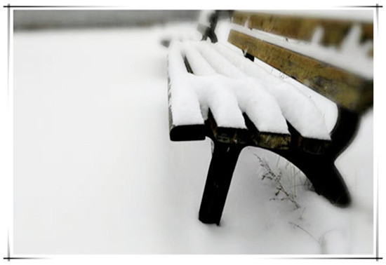 转盼之余,琼英玉蕊尽落满阶墀.静默,一如落雪的长椅,寂然无声.