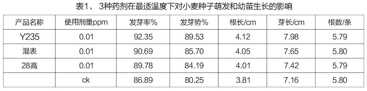 小麥發芽率均高於對照,且10℃條件下培養時,小麥種子發芽勢明顯大於