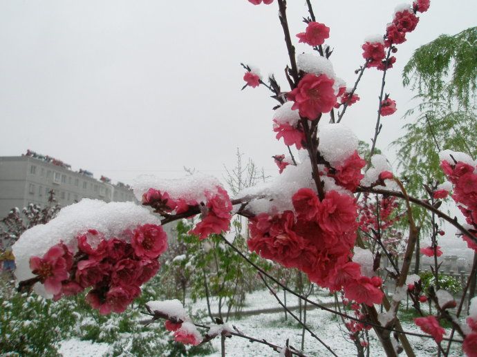 2017春季降雪氣候多變,溼邪入侵生病怎麼辦?