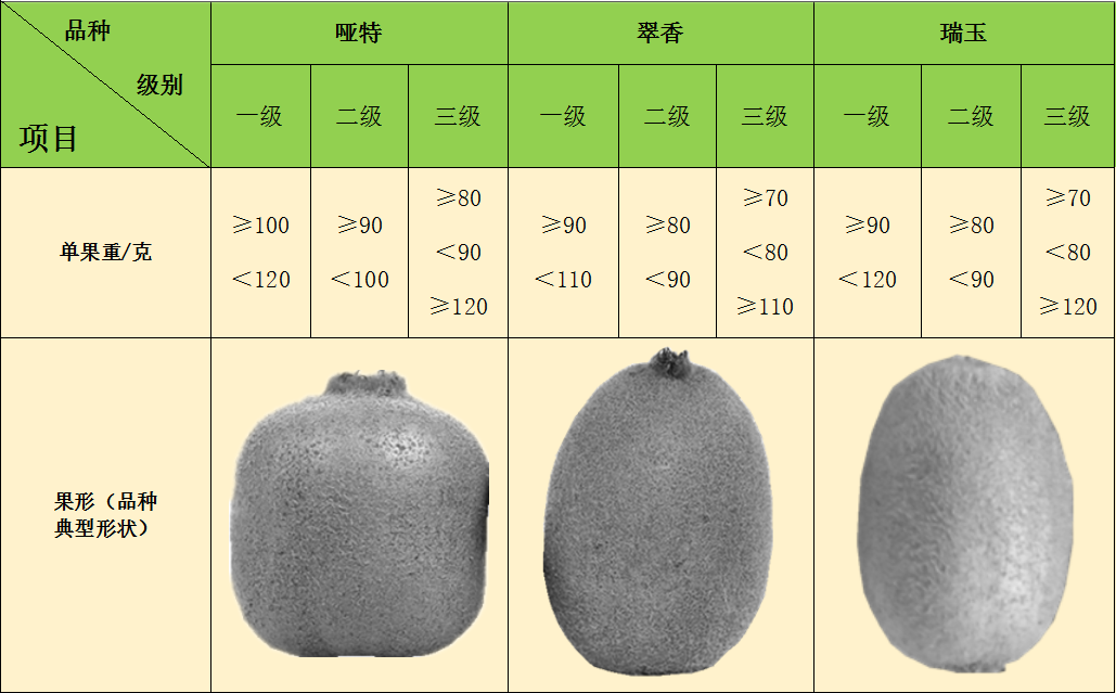 猕猴桃鲜果的等级你了解什么是一级吗