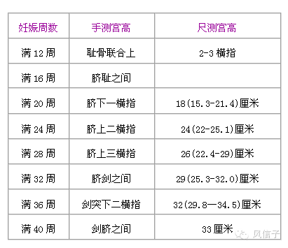 宫高:宫底高度的简称,如发现与妊娠周数不符,过大或过小都要寻找原因