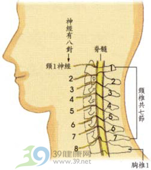 關於頸椎病,這樣一說我就知道了