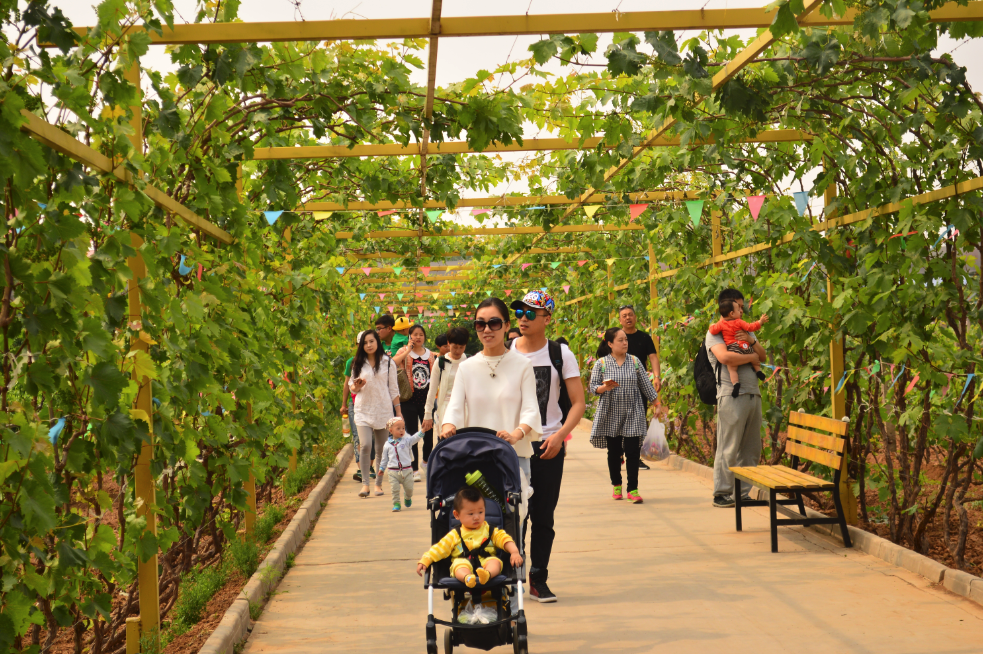 每日一园:华辰农耕园中式现代农业综合体验观光园