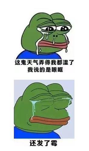 回南天来啦,你的内裤干了吗!