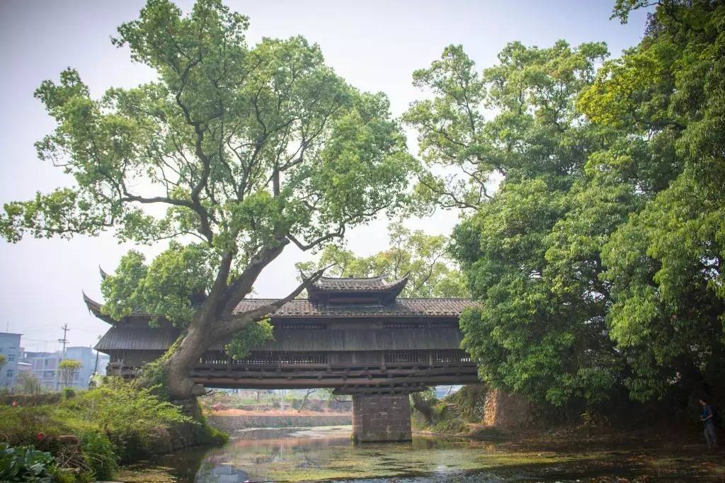 李香墨韵 春跑花开 i 赴一场四堡村跑,落一笺春日邀约!