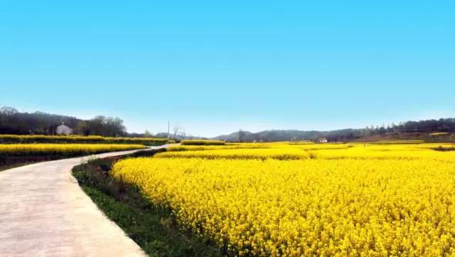 金衢高速上溪出口-四通路-上溪镇黄山路口-杨横线-上佛路 武义南仓村