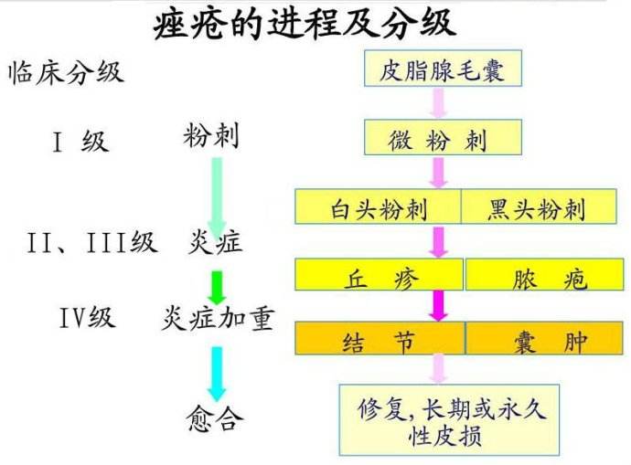 痘痘和痤瘡如何根治?