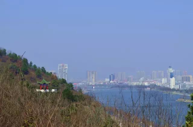 美麗信陽 龜山公園2.0已升級完畢匠心獨運 又美又有趣