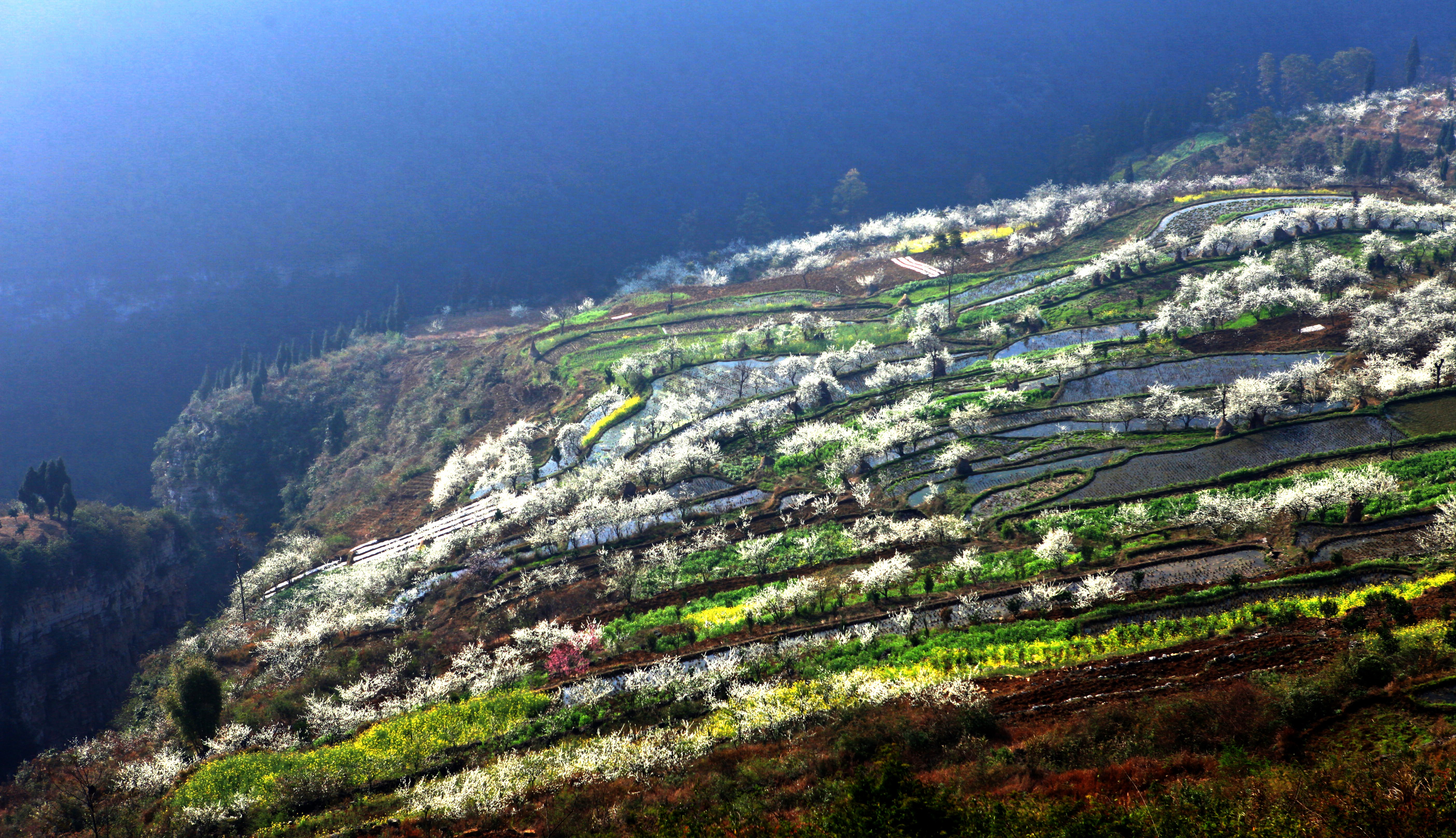 美景里程 61四川敘永花海騎跑挑戰賽即將開幕