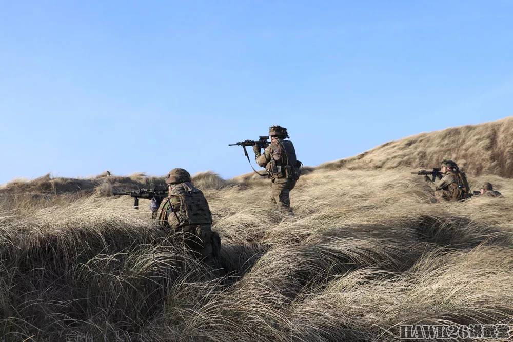唯一的抵抗 丹麦陆军进行海岸防御作战演习