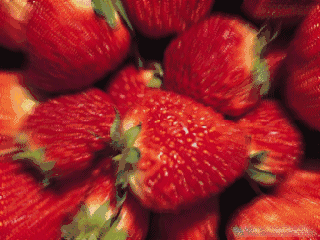 爱吃草莓的内乡注意了!