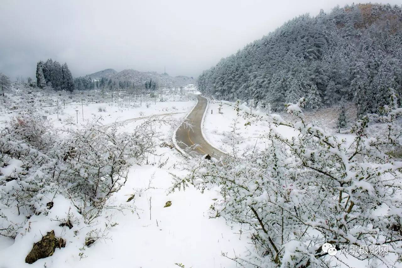 千野草场雪景图片