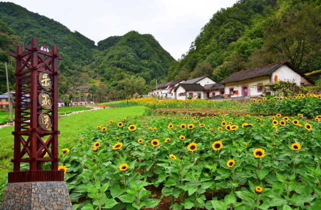 柞水朱家湾村