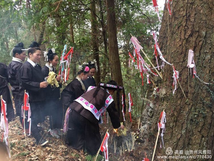 朱通明此次祭桥节活动,不仅让广大游客体验了黔东南非遗文化节日二月