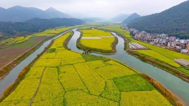 2月26日,廣西羅城仫佬族自治縣東安村的田園春景.