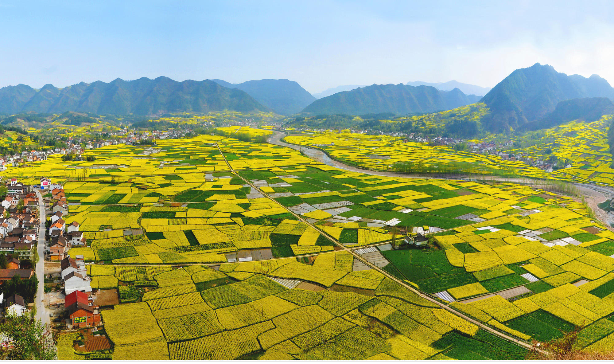 汉中油菜花_陕西汉中油菜花