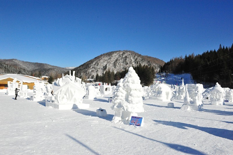 【景点推介 雪雕观赏区 雪乡国家森林公园发现"红松王"