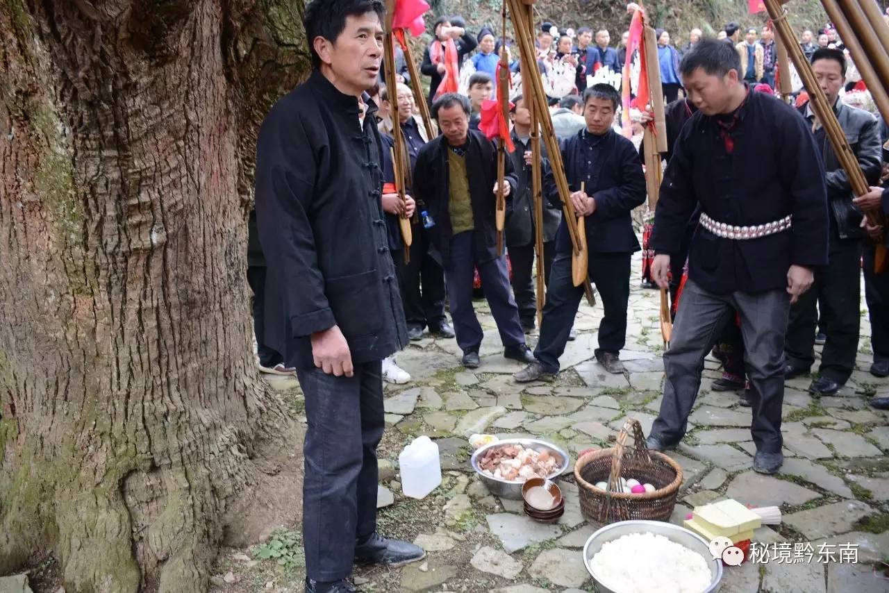 关注二月二过去了黔东南苗族同胞对这一天的印象仍很深刻那醉人的场景