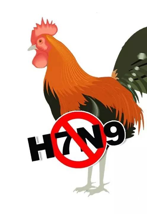 我市进入h7n9疫情高发期!但是专家说了:不用慌