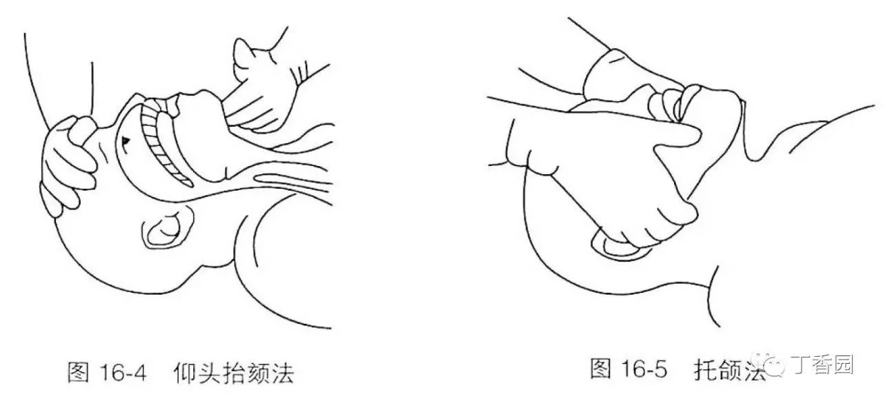 如何从零基础成为正式医学插画师