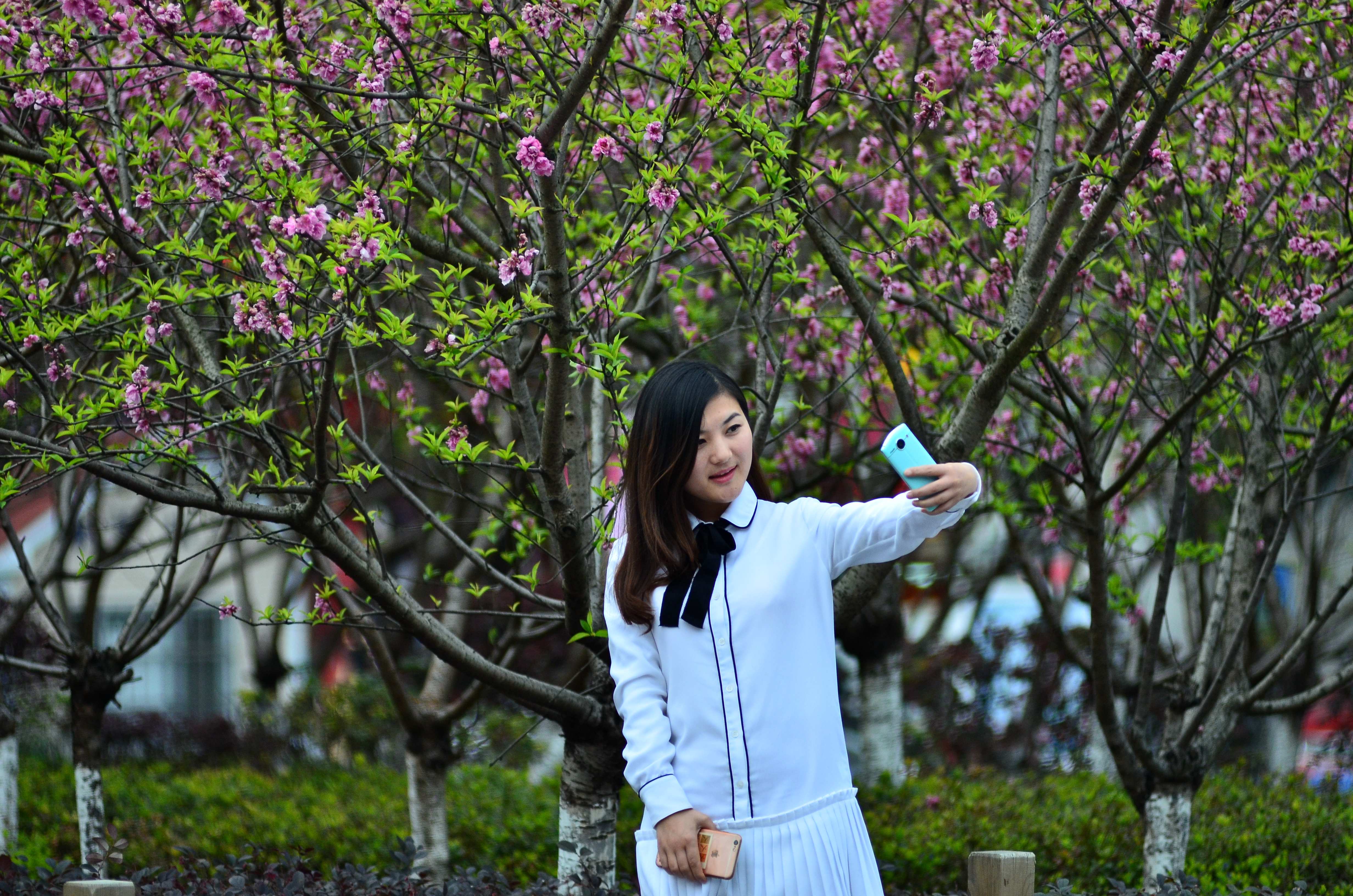 好靓女公园桃花图片