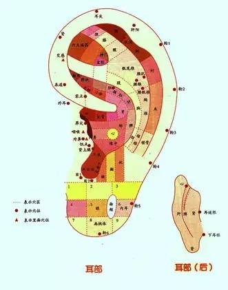 爱耳日丨希望你的耳朵溢满静谧